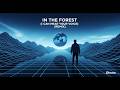 [REMIX] TM NETWORK / In The Forest (君の声が聞こえる) [Instrumental]