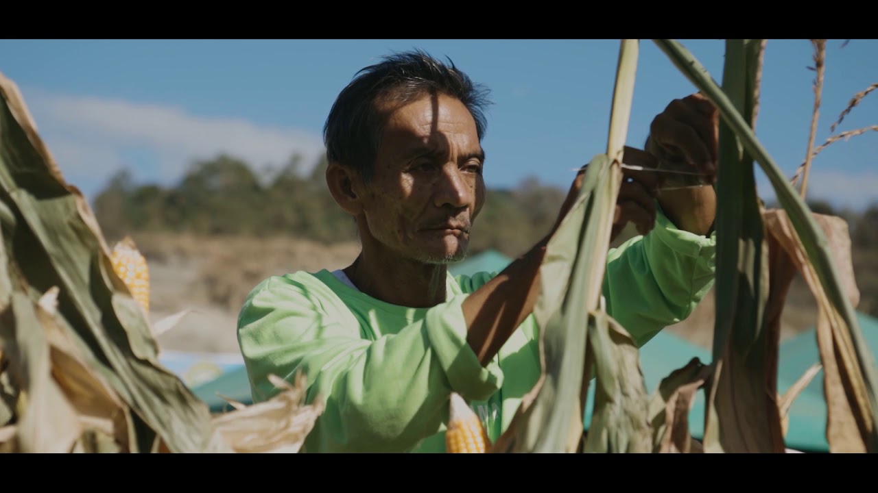 Happy Fiesta Bamban 2020