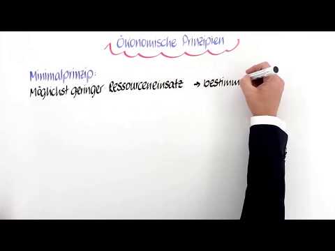 Ökonomische Prinzipien