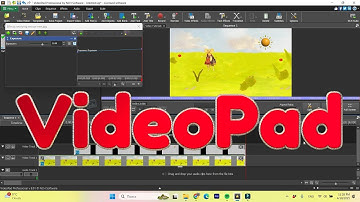 Why The Masking Like Doesn`t Work In VideoPad  | DLG Puppet Show  | How To Fix The Issue