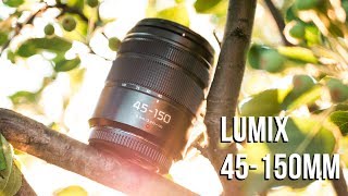 Panasonic G 45-175mm and 45-150mm any good?: Micro Four