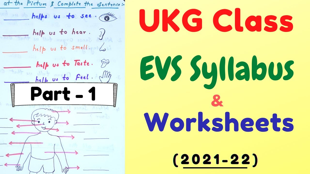 ukg evs worksheet evs worksheets for ukg class ukg class gk worksheets ukg class worksheets youtube