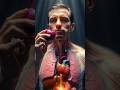 What Happens Inside Your Body When You Eat onion 🧅 #ai #human #anatomy
