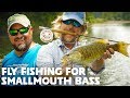 FLY FISHING for Smallmouth Bass (Streamers + Poppers)