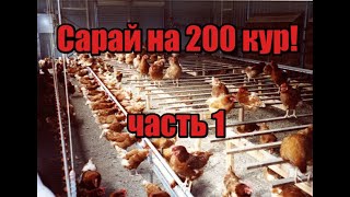 Курятник на 200 кур! Строю сарай на 200 кур несушек! Нюансы в строительстве! Главные мелочи!