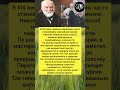 Изобретение гипса #новости #СССР #медик #хирург #россия #shorts