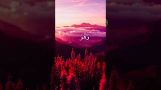 #kurdistan #quran #trending #2026