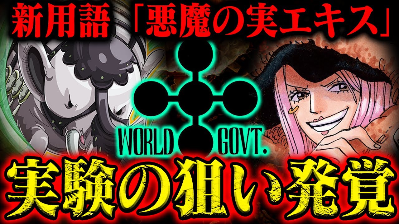 ONE PIECE ワンピース The Devil Fruit 悪魔の実 The 