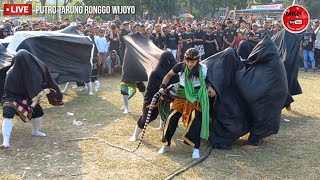 bantengan putro taruno ronggo wijoyo ft putra mandala live brangkal mojokerto