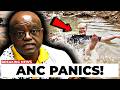 The Pothole Stunt That Broke The Internet! Helen Zille vs ANC Mayor Dada Morero 🇿🇦