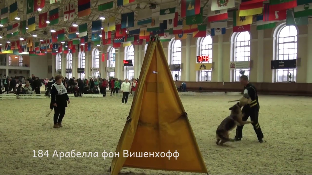 184 Арабелла фон Вишенхофф -+-