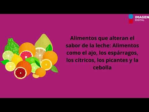 Lactancia materna alimentos