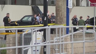 Suspects arrested in carjacking connected to deadly light rail shooting