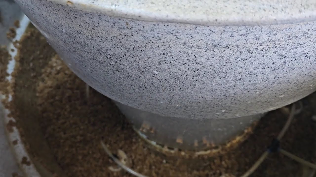 Nexus Mod, Bakki Shower Flow HELP!! 