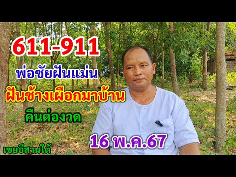 611-911 พ่อชัยฝันแม่น ฝันช้างเผือกมาบ้าน คืนต่องวด 16/5/67