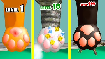 Paw Care! Become The Most Professional Veterinarian In The World. Max Level Decor and Frame