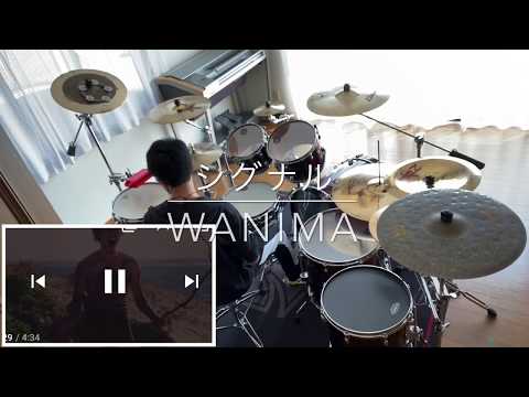 シグナル WANIMA drumcover