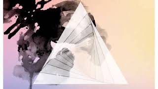 03. Butterfly Effect - fox capture plan