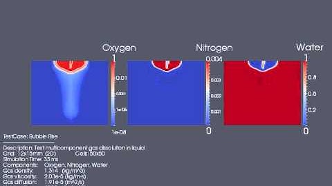 Gas Dissolution in Rising Bubbles