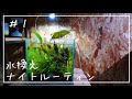 【アクアリウム】平日夜の水換えルーティン/aquarium routine ＃1
