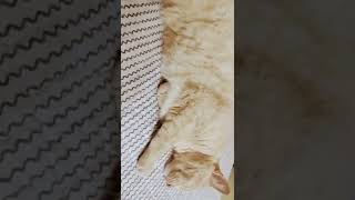 14 De Febrero De 2022