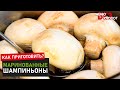 Шампиньоны маринованные по-домашнему | Отличная закуска из грибов