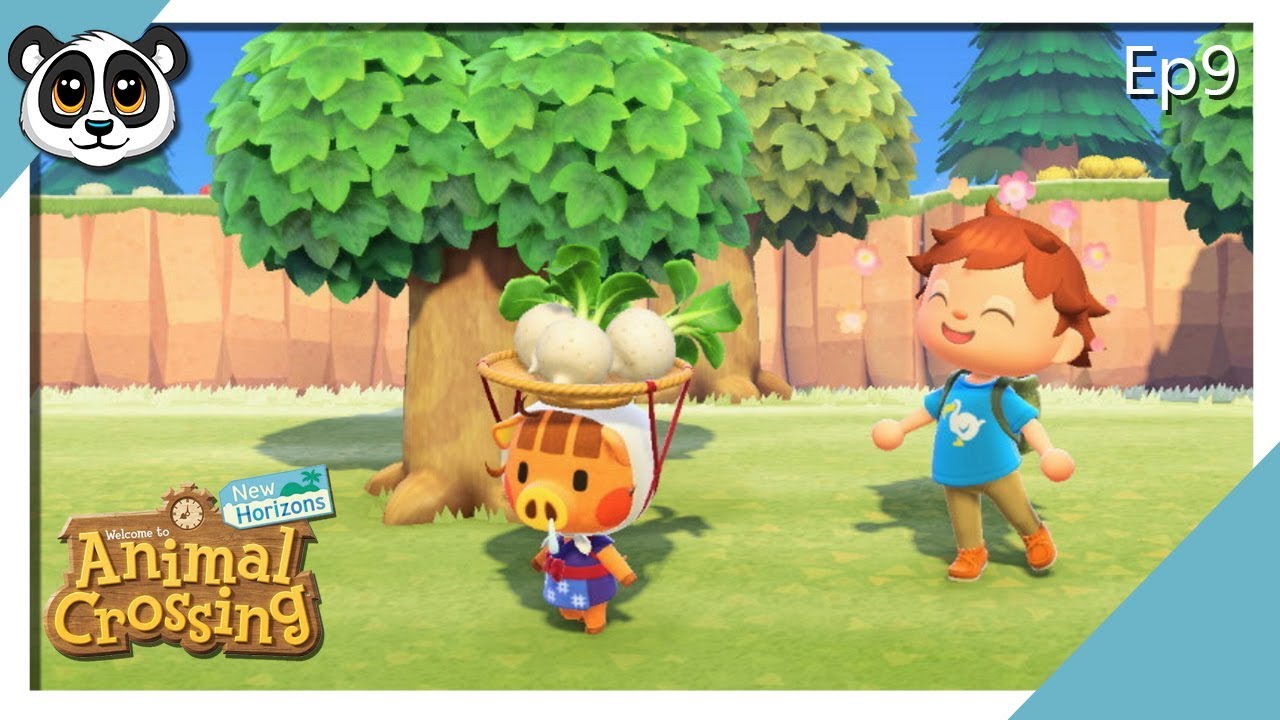 Animal Crossing: New Horizons | Day 9 | Daisy Mae, Turnips Buying