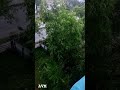 Rain.. #ytshorts #funny #rain #shortvideo