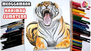 Menggambar HARIMAU SUMATERA dengan pensil warna faber castell - ISP ART