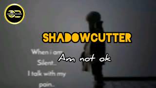 Information Shadow Cutter-Am not ok(Official Audio)pro by ishteez News