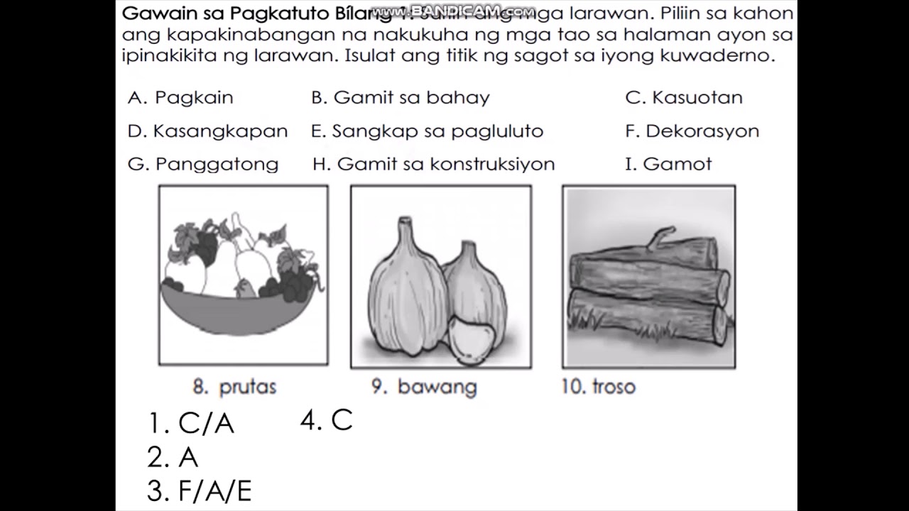 Grade 3 Science Week 5 and 6 Kahalagahan ng Halaman at Katangian ng may