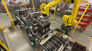Hamrick Packaging Systems - Robotic Case Packer for Shingling Product