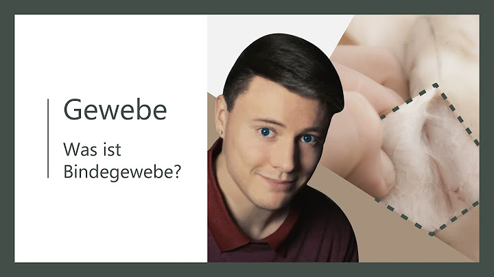 Wo befindet sich das bindegewebe