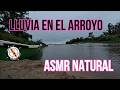 Especial lluvia y truenos en el arroyo Monje: ASMR natural y relajación profunda