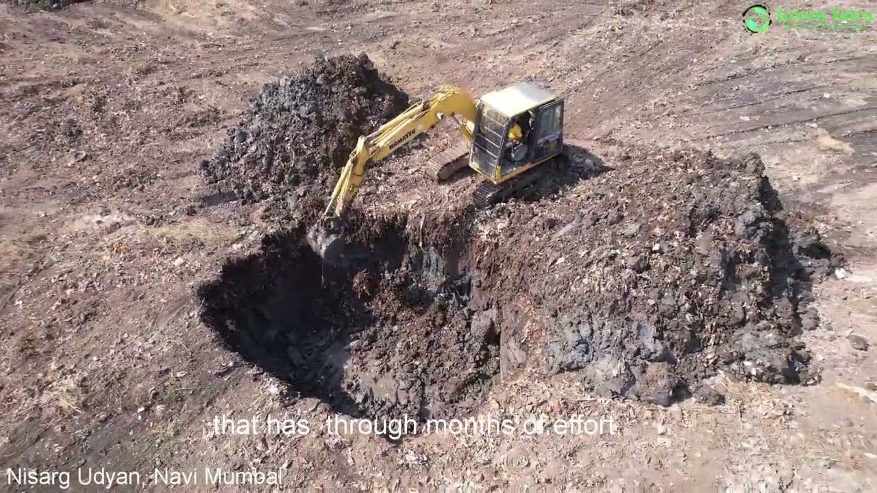 Earth Day Special | "Greening India's Cities: The Miyawaki Forest Revolution"