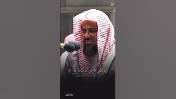 إن كل من في السماوات والأرض إلا آتي الرحمن عبدا //  سورة مريم