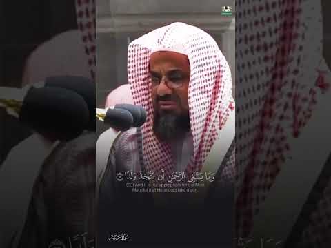 إن كل من في السماوات والأرض إلا آتي الرحمن عبدا سورة مريم