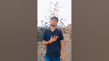 O Sahiba O Sahiba ❤️🥰🥀 #shorts #youtubeshorts #trending #hindisong #viralvideo #bollywood #song