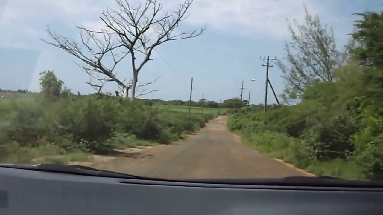 Duff House to Alligator Pond River, Jamaica. YouTube