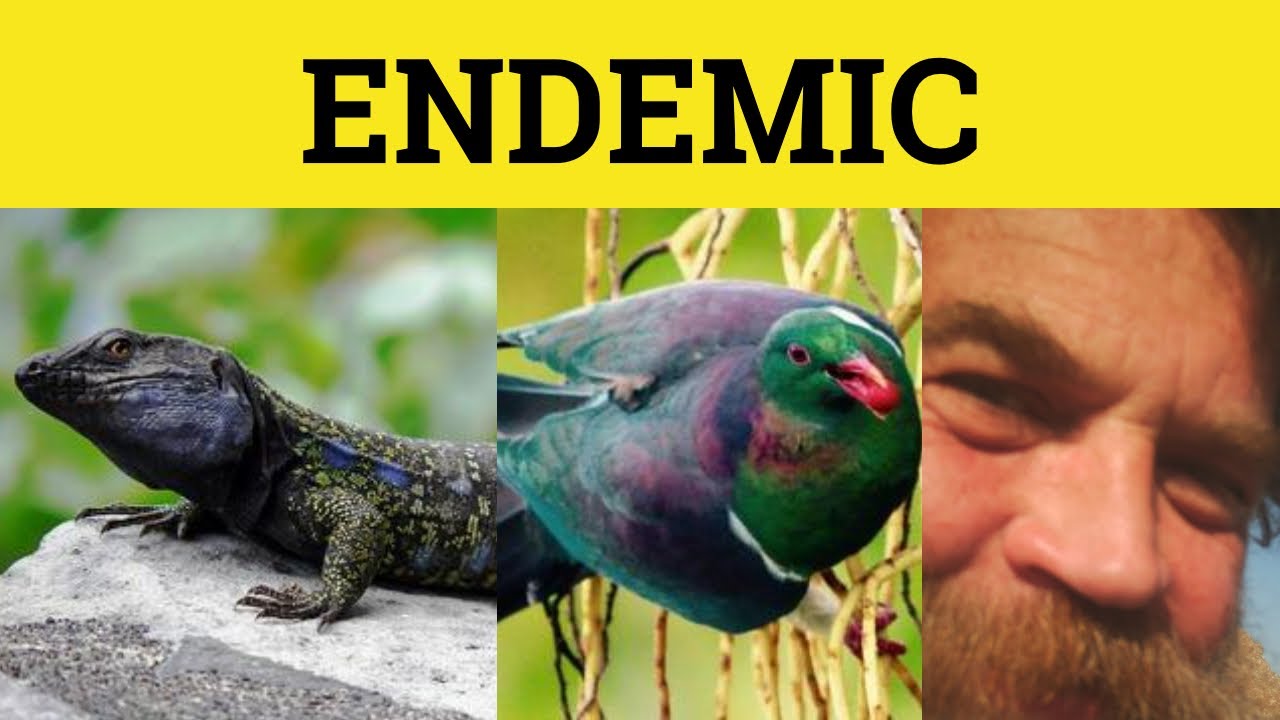 endemic species definition and examples