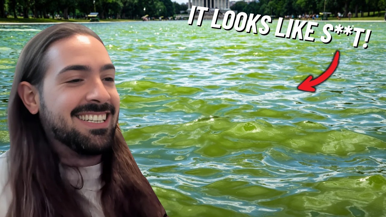 What Is Happening To The Reflecting Pool Youtube 