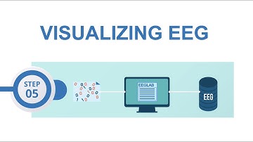 EEGLAB preprocessing #5: Visualizing data