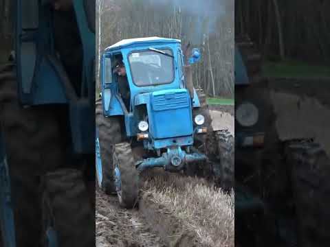 Синий трактор