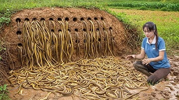 TIMELAPSE — 365 Days of Catching Tons of River Muddy eels and go to sell at the market |Luna Harvest