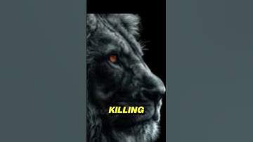 “Nipsey Hussle’s Smile Says It All 💯 | Powerful 10-Second Motivation”