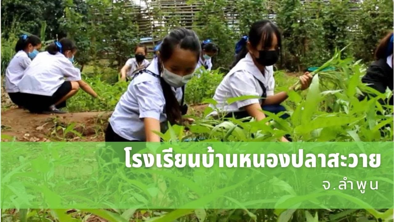 รางวัลชมเชย โรงเรียนบ้านหนองปลาสะวาย