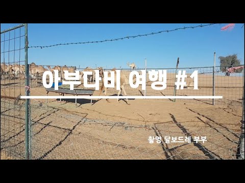아부다비, 두바이 여행 1탄