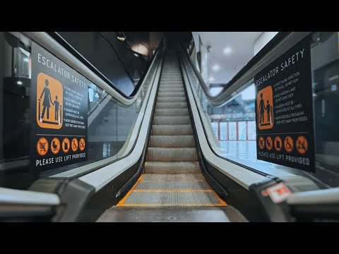 Clapham South Escalators (the) - the rockabilly chronicle
