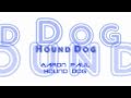 Aaron Paul - Hound Dog - Elvis Presley V3-39 6-24-2011