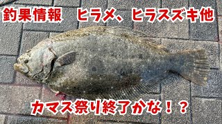 釣果情報ヒラメシーバスヒラスズキタチウオカマス1月2021日の宮崎港